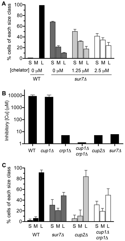 FIG 6 