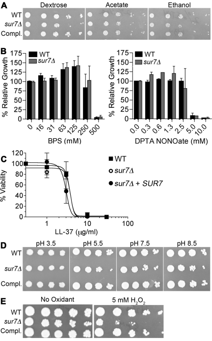 FIG 3 