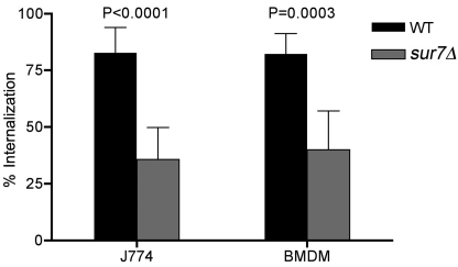 FIG 1 