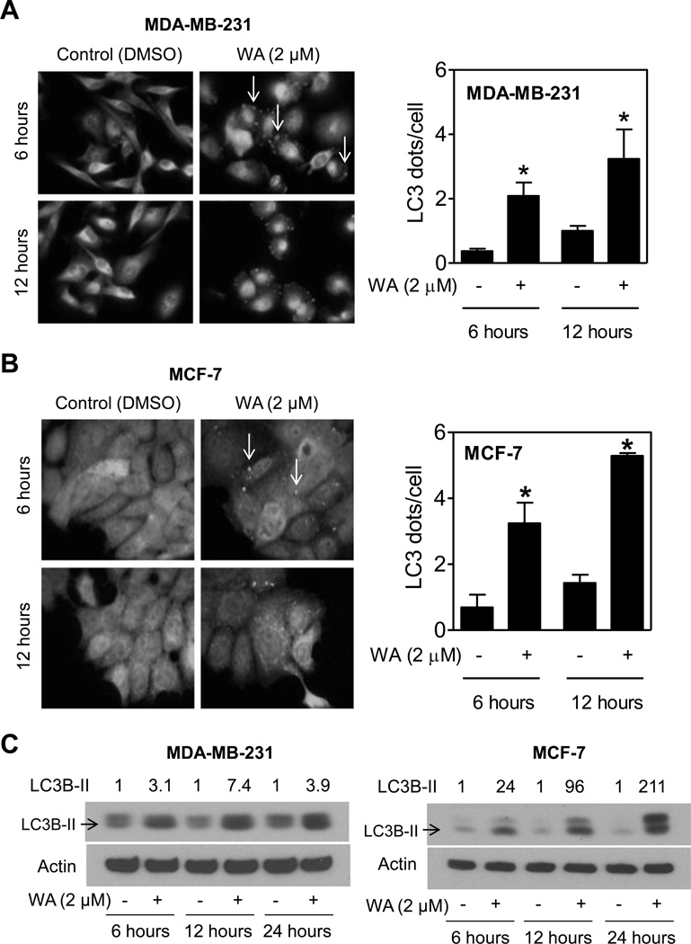 Fig. (2)