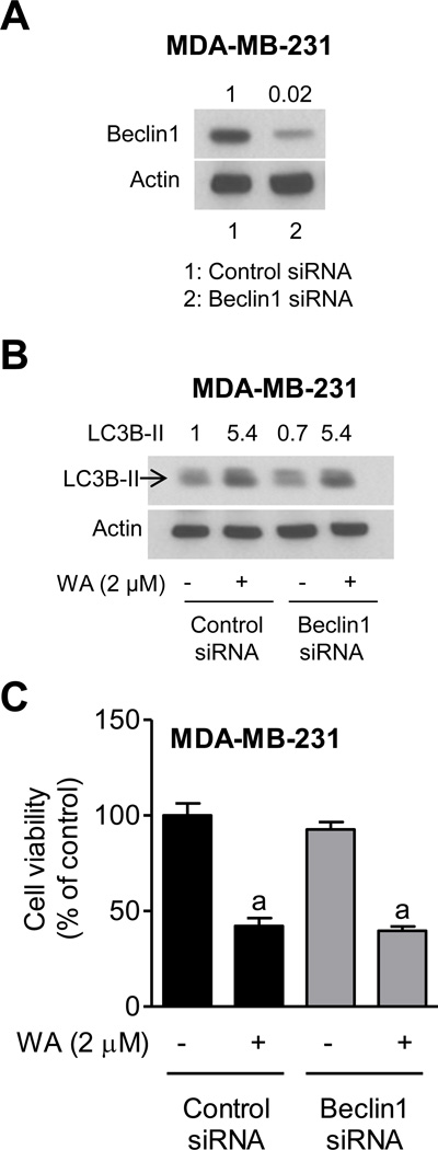 Fig. (6)