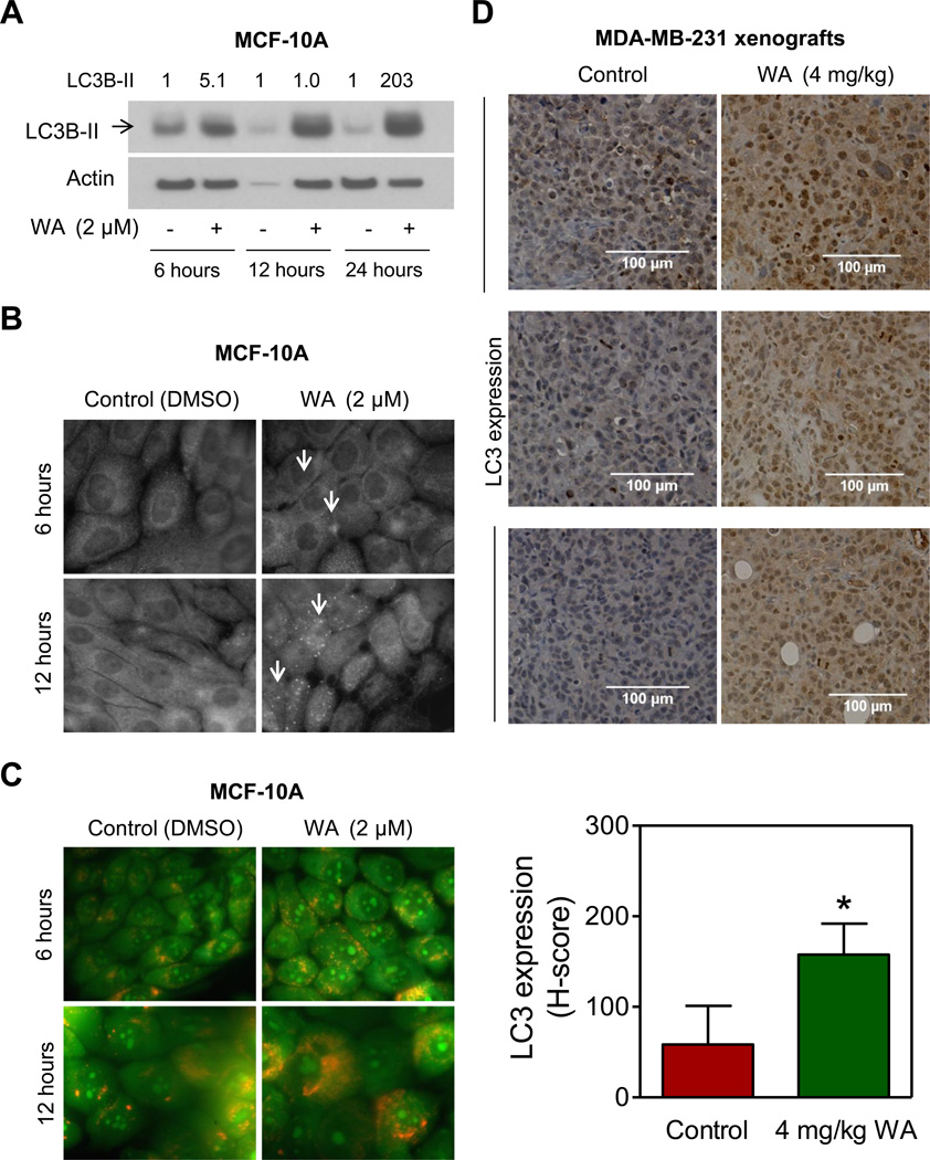 Fig. (3)