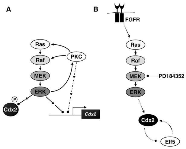 Fig. 10