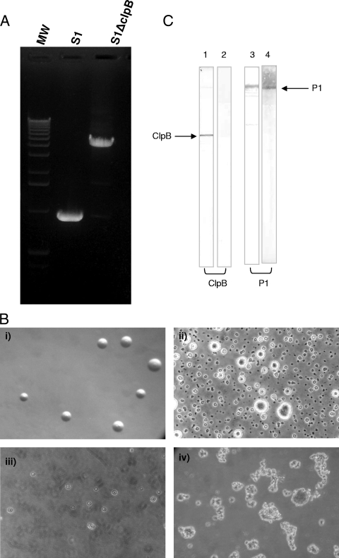 FIG. 6.