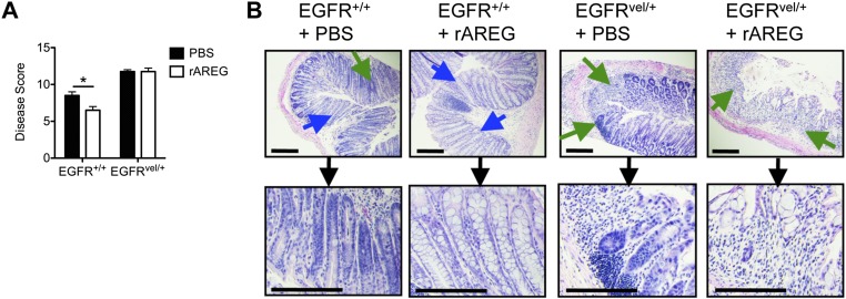 Fig. S4.