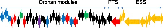 Fig. 4