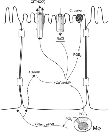 Fig. 3