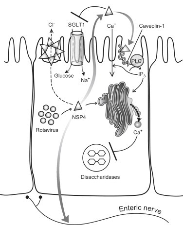 Fig. 4