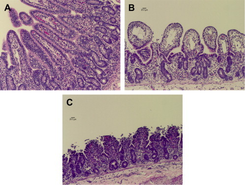 Fig. 2