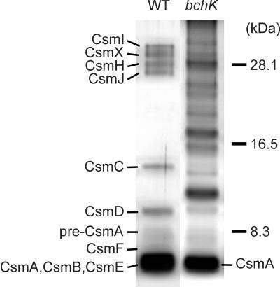 FIG. 8.