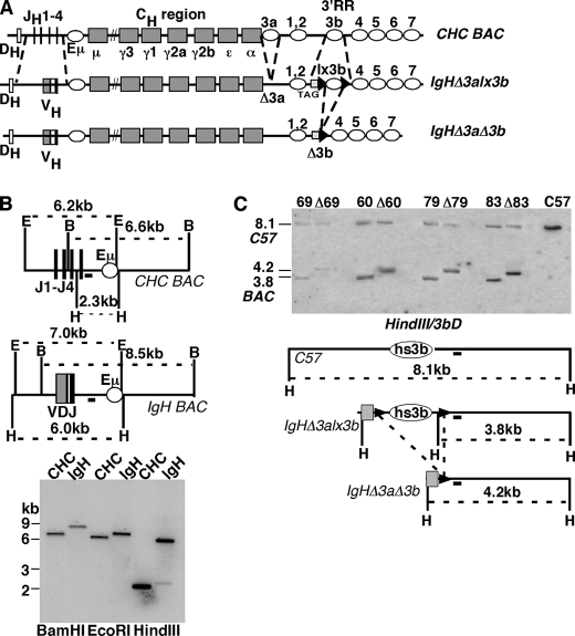 FIGURE 1.