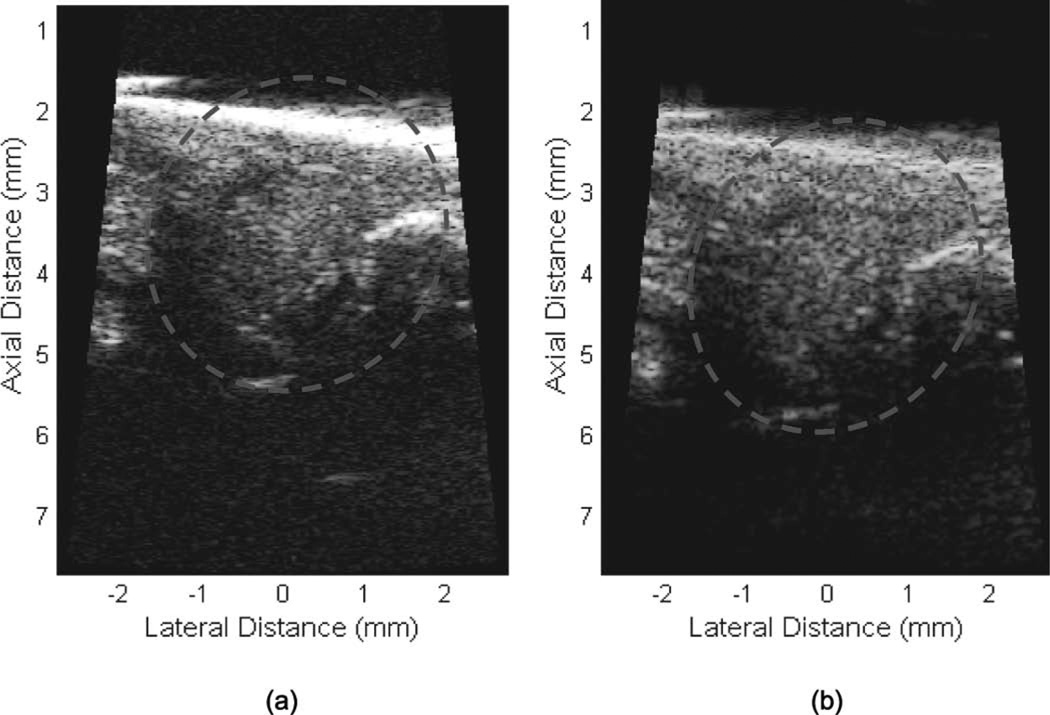 Fig. 9