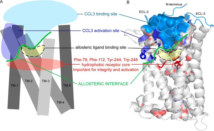 FIGURE 10.