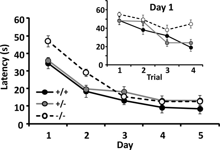 Fig 6