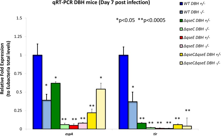 FIG 7 