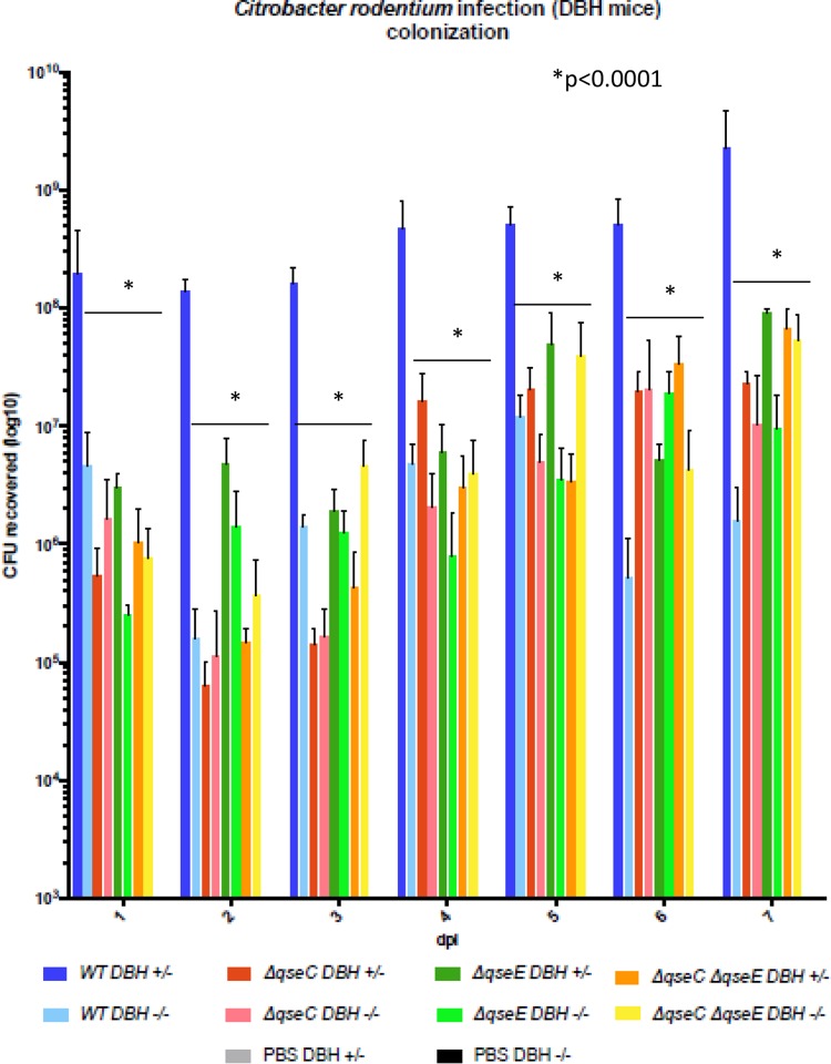 FIG 6 