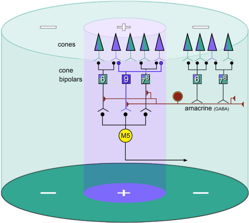 Fig. 7