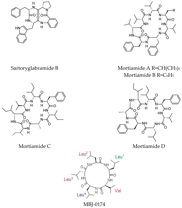 Figure 7