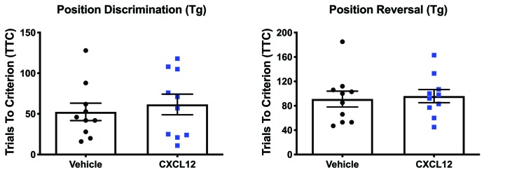 Figure 3—figure supplement 2.