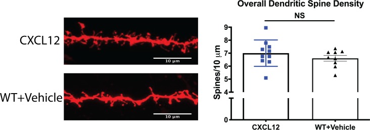 Figure 3—figure supplement 4.