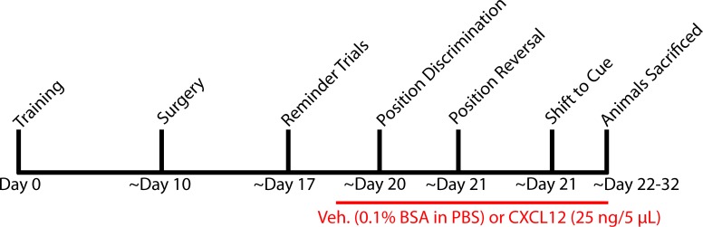 Figure 3—figure supplement 1.