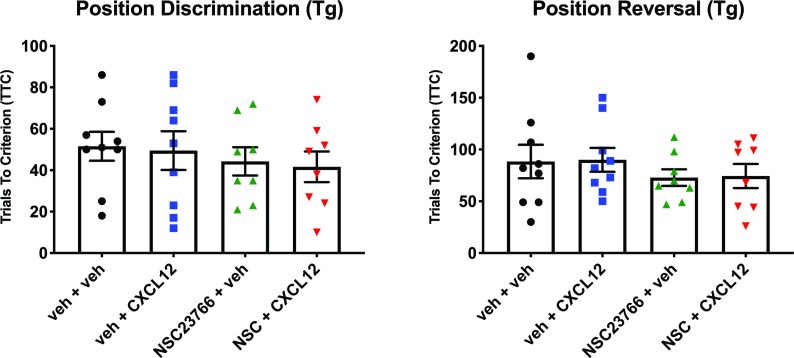 Figure 9—figure supplement 1.