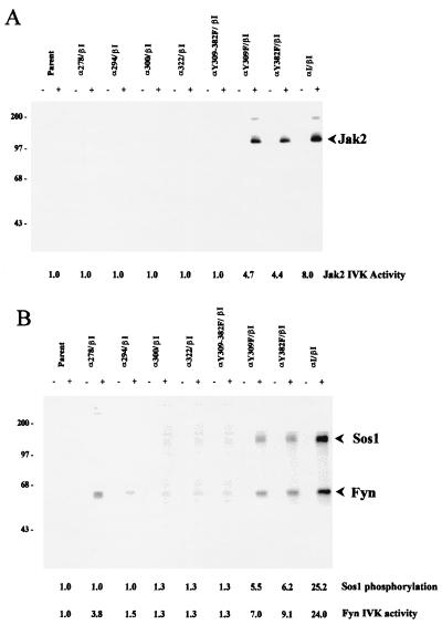 FIG. 5