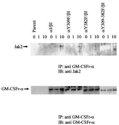 FIG. 6