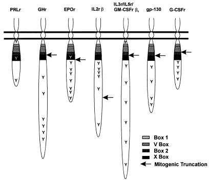 FIG. 7