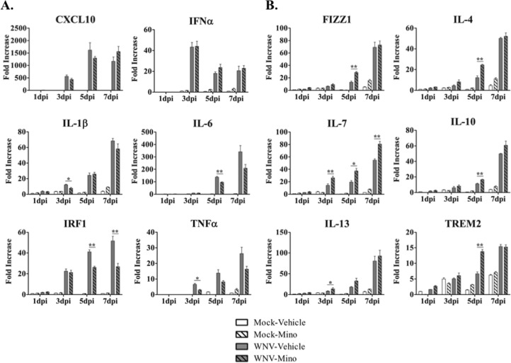 FIG 3