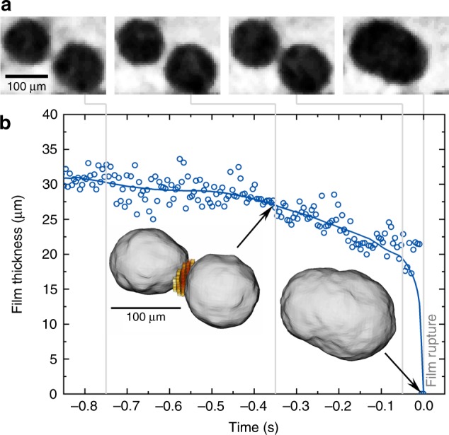 Fig. 3