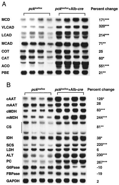 FIG. 6