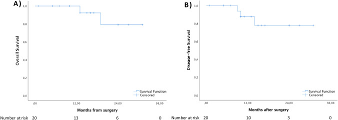 Fig. 2