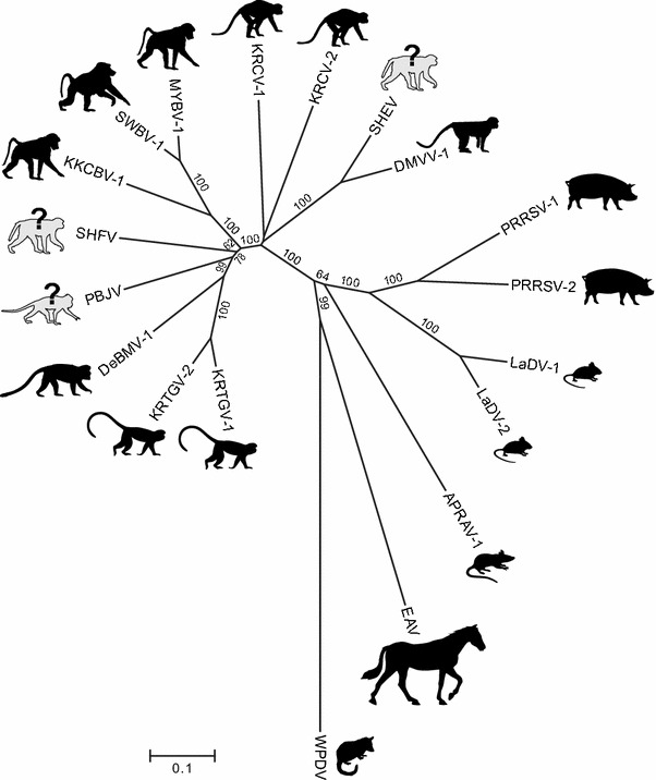 Fig. 4