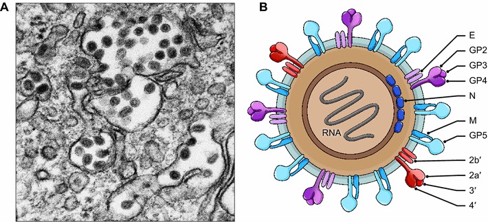 Fig. 1