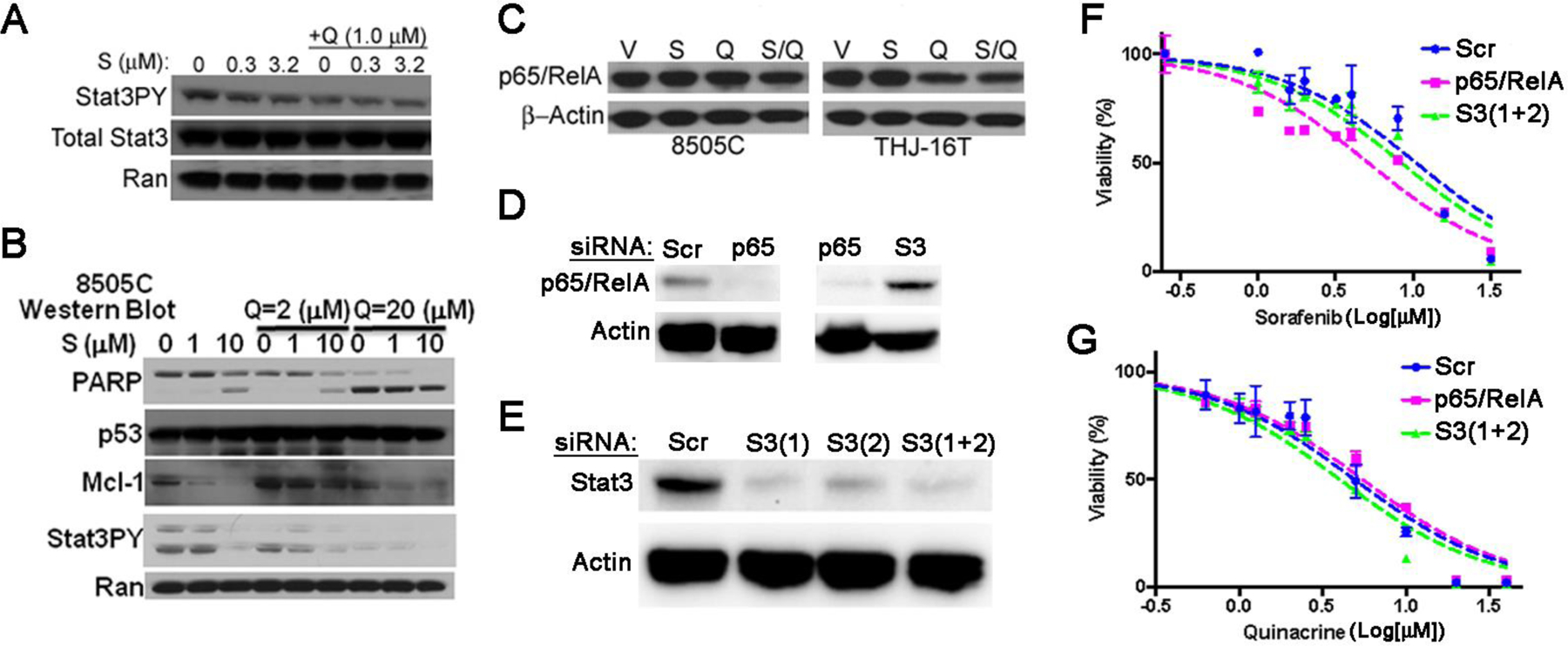 Figure 4: