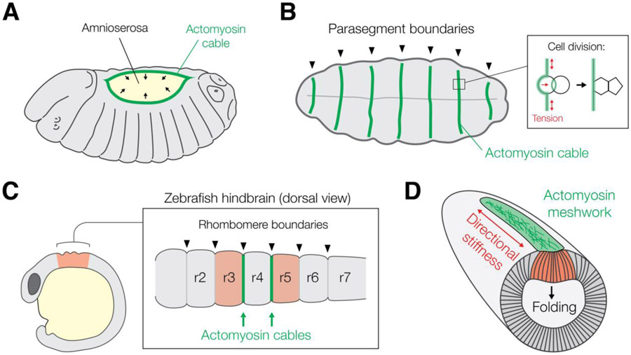 Figure 5: