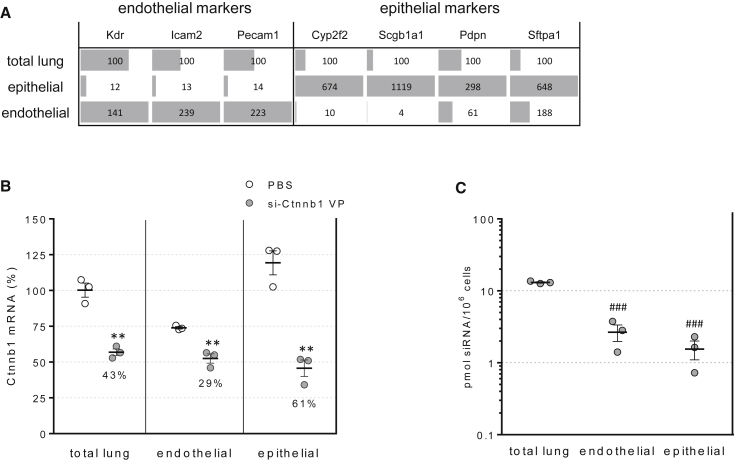 Figure 6