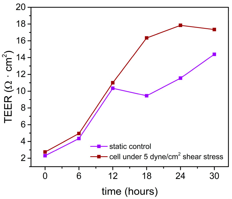 Figure 7