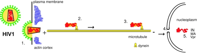 Figure 1.