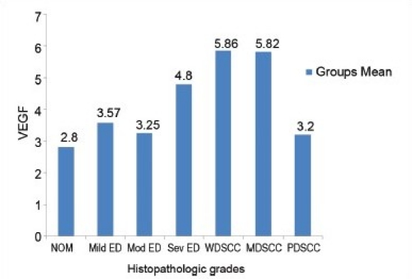 Graph 2