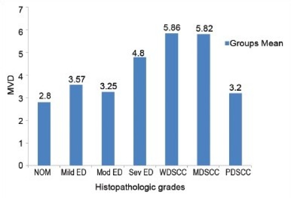 Graph 4