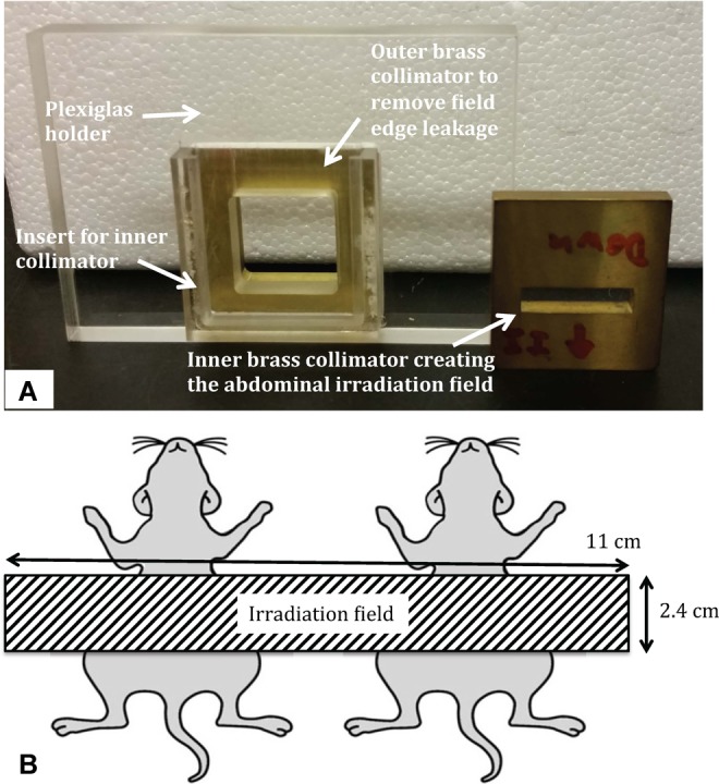 Figure 2.