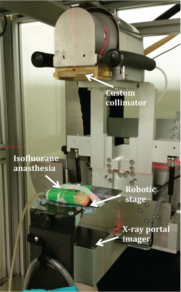 Figure 1.