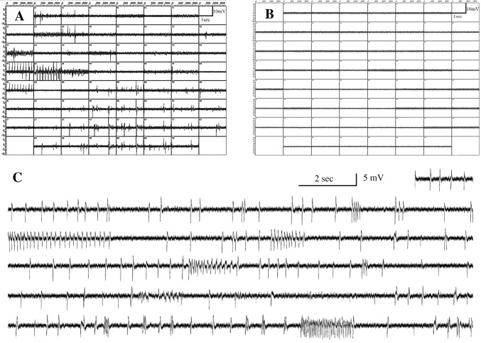 Fig. 2