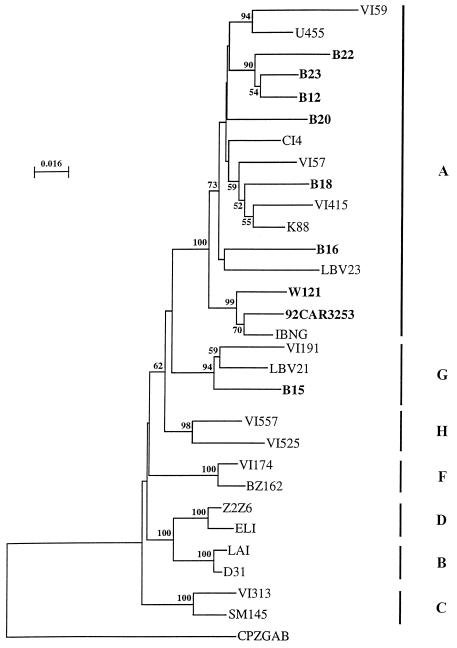 FIG. 1