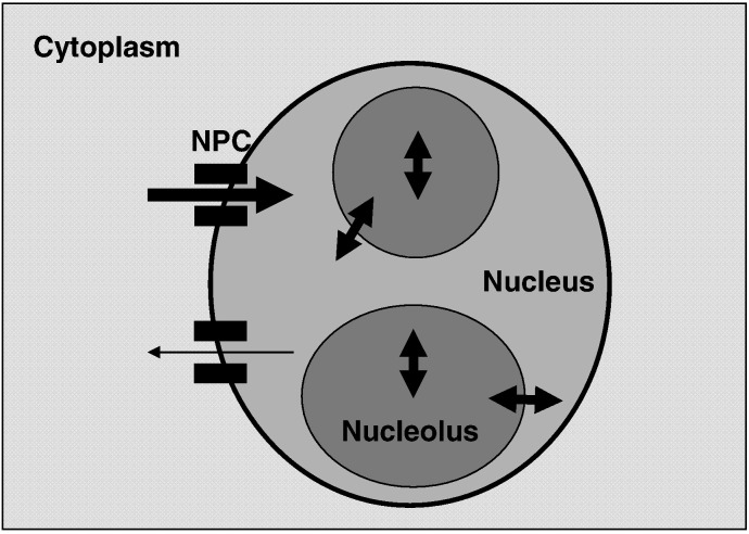 Fig. 9