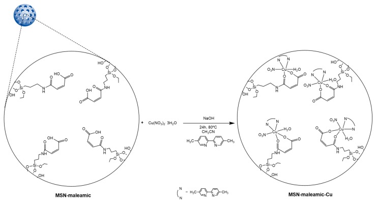 Scheme 2
