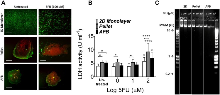 FIG. 7.