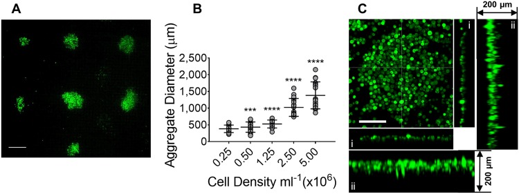 FIG. 2.